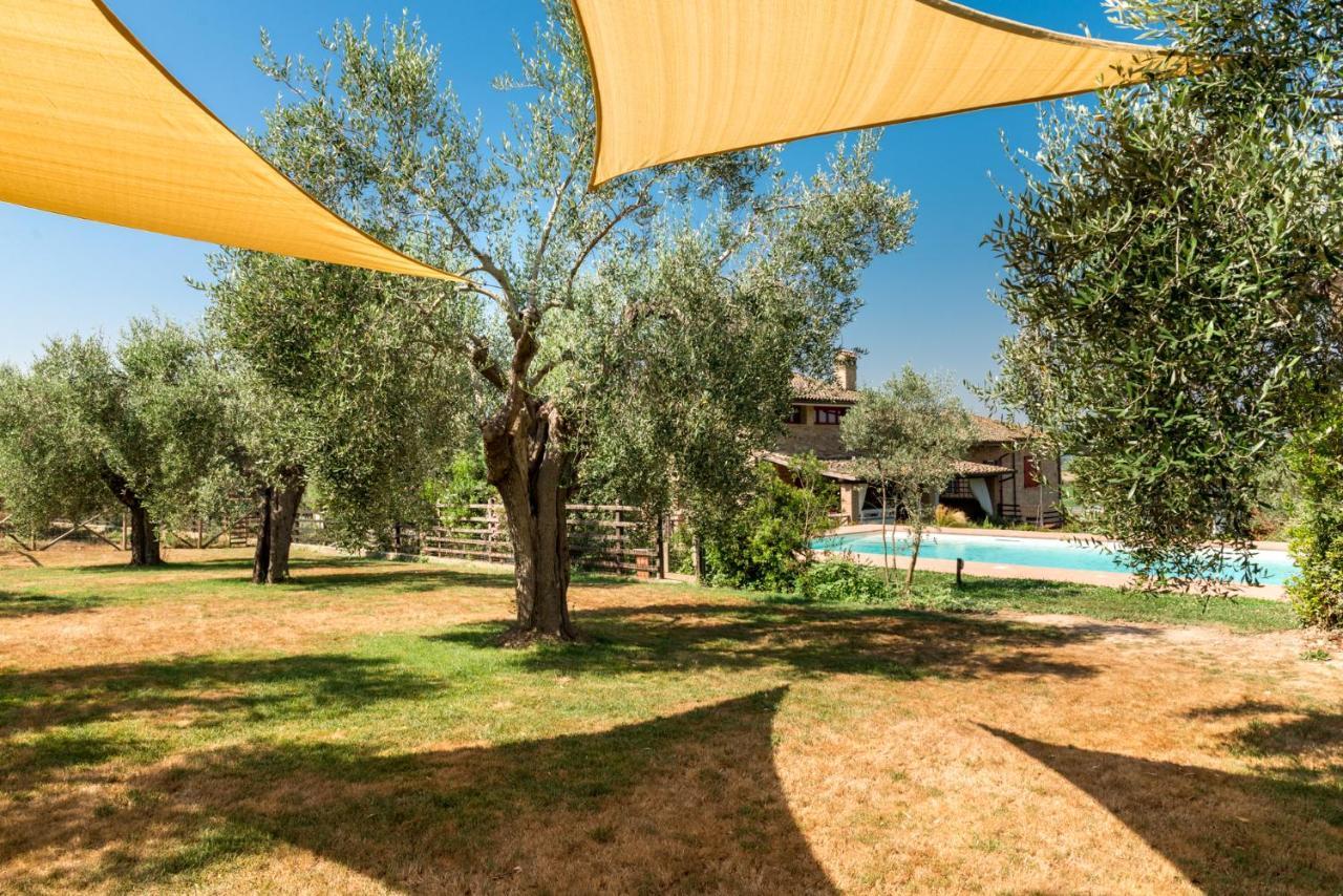 Il Barbagianni Bed & Breakfast Montepescali Ngoại thất bức ảnh