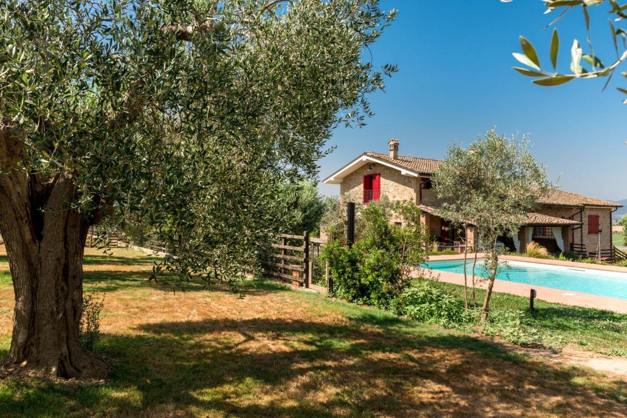 Il Barbagianni Bed & Breakfast Montepescali Ngoại thất bức ảnh